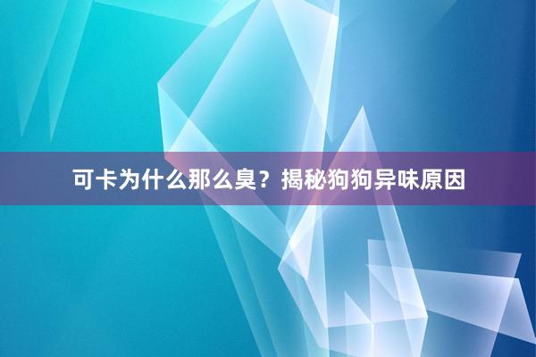 可卡为什么那么臭？揭秘狗狗异味原因